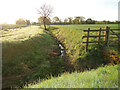 River Deben in its infancy