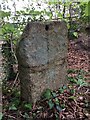 Old Boundary Marker near Teignmouth Golf Club