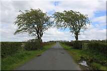 NS4722 : The Road to Ochiltree by Billy McCrorie