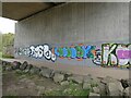 NY9265 : Bright new graffiti by Oliver Dixon