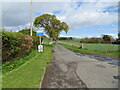 Minor road heading towards Scotscraig