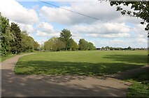 TQ4989 : King George's Playing Fields, Collier Row by David Howard