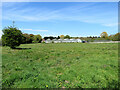 Newbourne: greenhouses