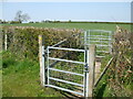 A footbridge out of Kingrove Common