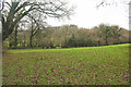 Field south of Waye Farm