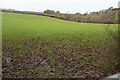 Field near Waye Farm