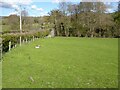 Field beside Glandwr Bridge