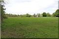 Playing Field, Rozelle Park