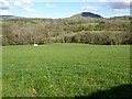 Farmland to the south of Tredustan