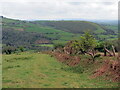 Llwybr uwchlaw Cwmcothi / Path above the Cothi Valley