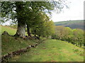 Llwybr uwchben Rhiwiau / Path above Rhiwiau