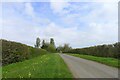 Narrow road leading to Laughton Lodge