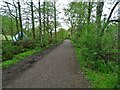 Sett Valley Way - west of Hayfield