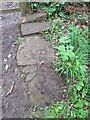 Stone trod near Littlebeck