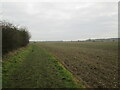 Bridleway  toward  Leckonfield