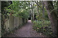 Tandridge Border Path