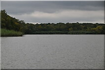 TQ3540 : Hedgecourt Lake by N Chadwick