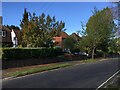 Houses in Napoleon Avenue