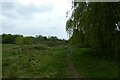 Path in St. Nicholas Fields