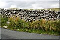 SD8963 : View of moorland over dry stone wall on NE side of rural road NW of Malham by Luke Shaw