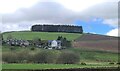 Cottages near Brockhouse