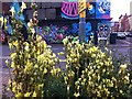 Urban toadflax, corner of Meriden Street and Bordesley Street, Birmingham