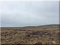 NG1654 : View towards Dunvegan Head Trig Point by thejackrustles