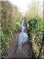 Path by Mercers Lake, Mersham