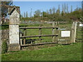 Allotments beside the cemetery