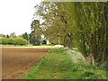 Public Footpath South of Hotham