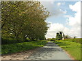 The Minor Road South West of Hotham