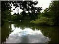 The Pool, Moseley Park