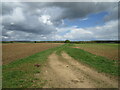 Farm track near Park Farm. Swinstead