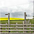 TQ0809 : Junction of paths north of Michelgrove Barn by Ian Cunliffe