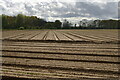 TM3852 : Ploughed field off the Sandlings Walk, Chillesford by Christopher Hilton