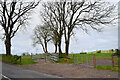 Bare trees, Kilgort