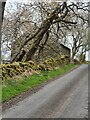 Old Farm Building, Naband, Cumbria