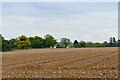 Gazeley: Ploughed field