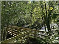 Footbridge over Afon Tarell