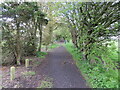 Tree enclosed footpath near Elmwood College, Cupar