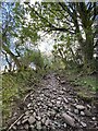 Stone track leading to Cefn Cyff