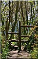 Stile on the path to St Loy beach