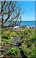 Stream running onto the beach at St Loy