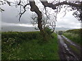 A back road above Llanwdra