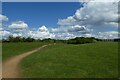 Path over Heslington East