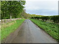 Wall and hedge enclosed minor road near to Uthrogle