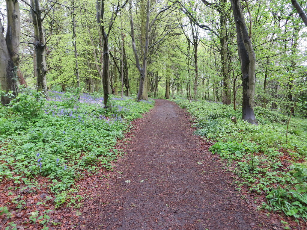 Woodland walking path through Hill of... © Peter Wood :: Geograph ...