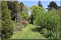 NX1558 : Garden Trail, Glenwhan Gardens by Billy McCrorie
