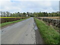 NO4910 : Wall and hedge enclosed road near to Lathockar by Peter Wood