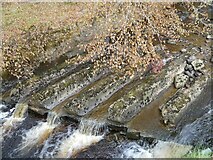 NZ0830 : Small weir on Ayhope Beck by Oliver Dixon
